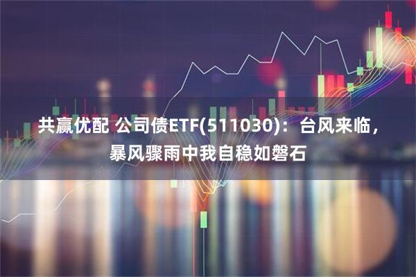 共赢优配 公司债ETF(511030)：台风来临，暴风骤雨中我自稳如磐石