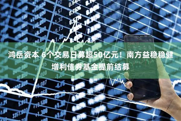 鸿岳资本 6个交易日募超50亿元！南方益稳稳健增利债券基金提前结募