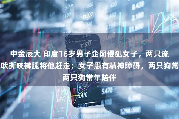中金辰大 印度16岁男子企图侵犯女子，两只流浪狗狂吠撕咬裤腿将他赶走；女子患有精神障碍，两只狗常年陪伴